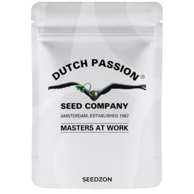 Auto Glueberry O.G.