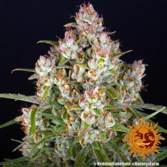 Wedding Cake Auto - картинка 4