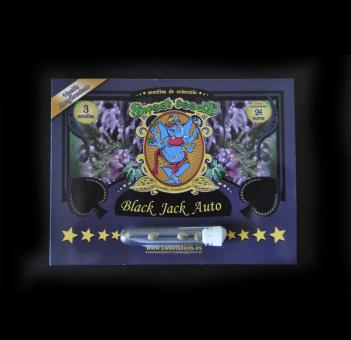 Black Jack Auto - картинка 4