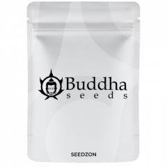 Buddha Gelato