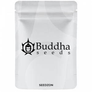 Buddha Auto Tangie