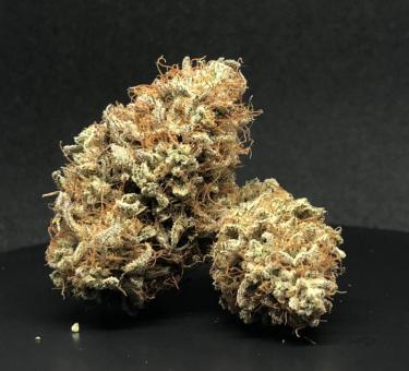 Gelato 41 x Gelato 41 Auto - картинка 6